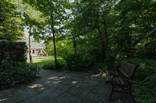 Medium property photo - Diepsloot 4, 9481 JK Vries